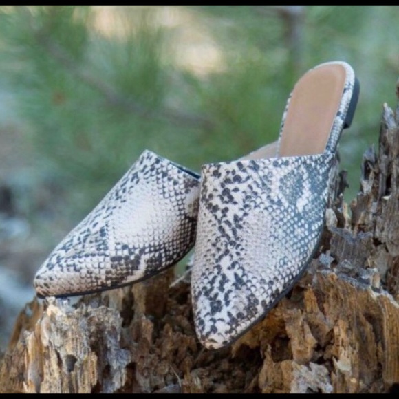 Snakeskin Mules Flats - Never Worn - Picture 2 of 3